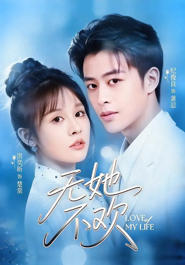 无她不欢封面图