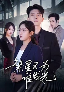 繁星不为谁发光封面图