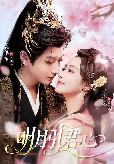 明月引君心封面图