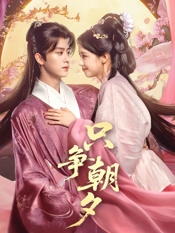 只争朝夕封面图