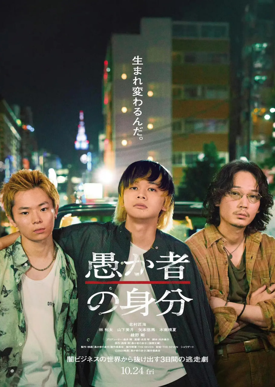 愚者的身份封面图