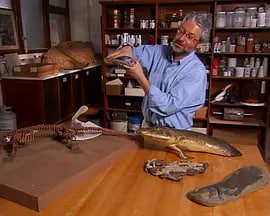 审判日 2007封面图