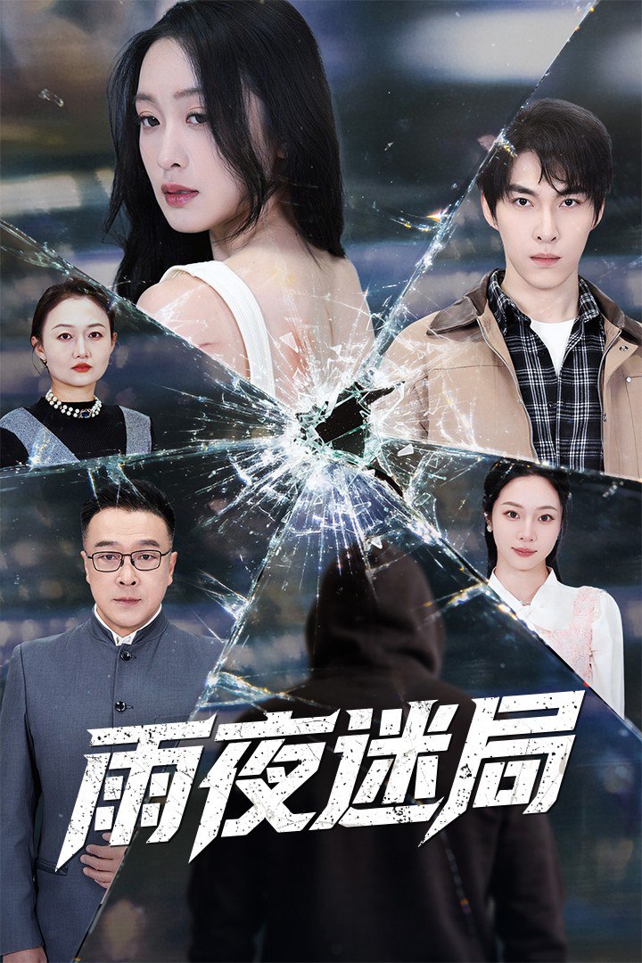 雨夜迷局 (沉默的真相之雨夜原罪)封面图