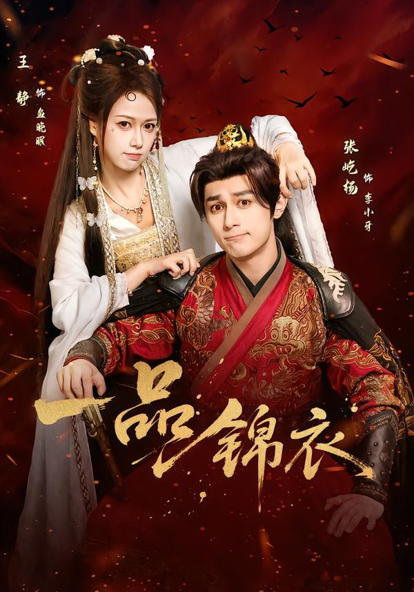 一品锦衣封面图