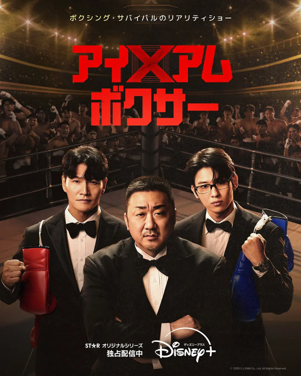 拳王争霸封面图