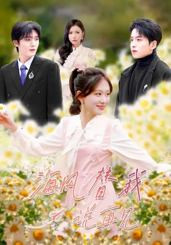 海风替我说再见封面图