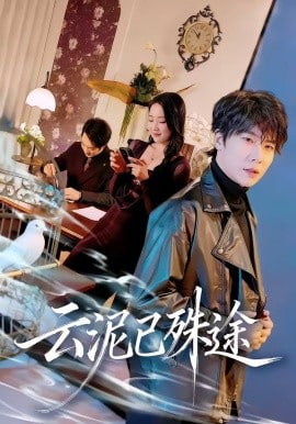 云泥已殊途封面图