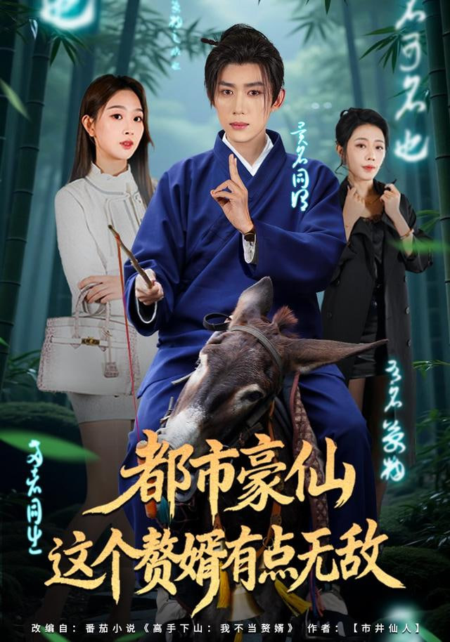 都市豪仙，这个赘婿有点无敌封面图