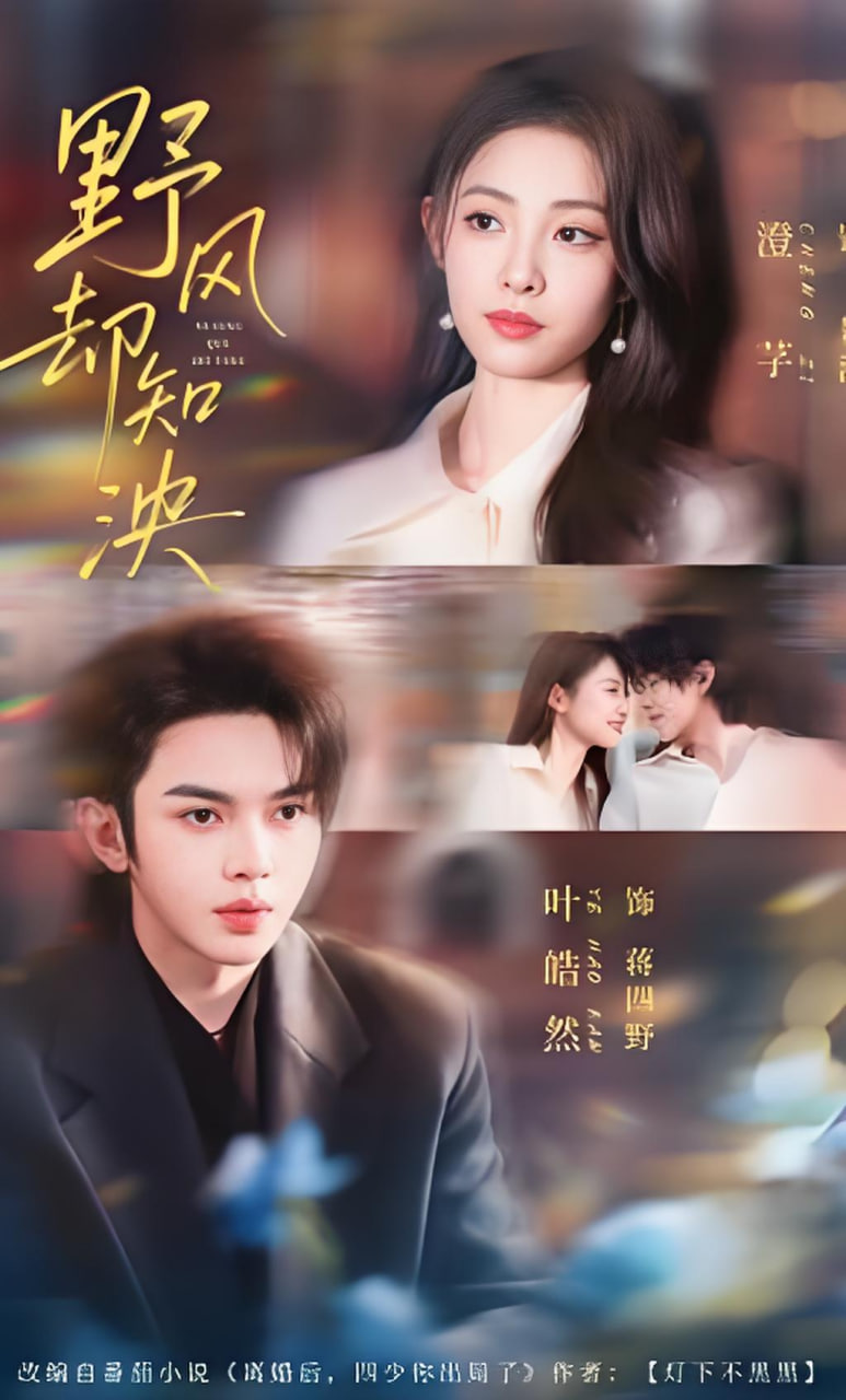 野风却知泱封面图
