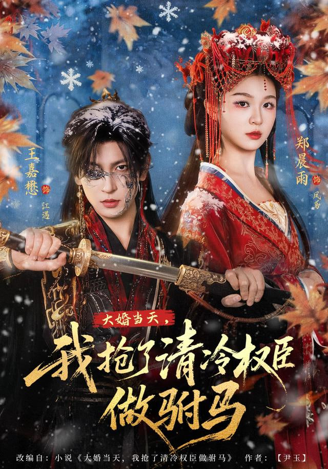 大婚当天，我抢了清冷权臣做驸马封面图