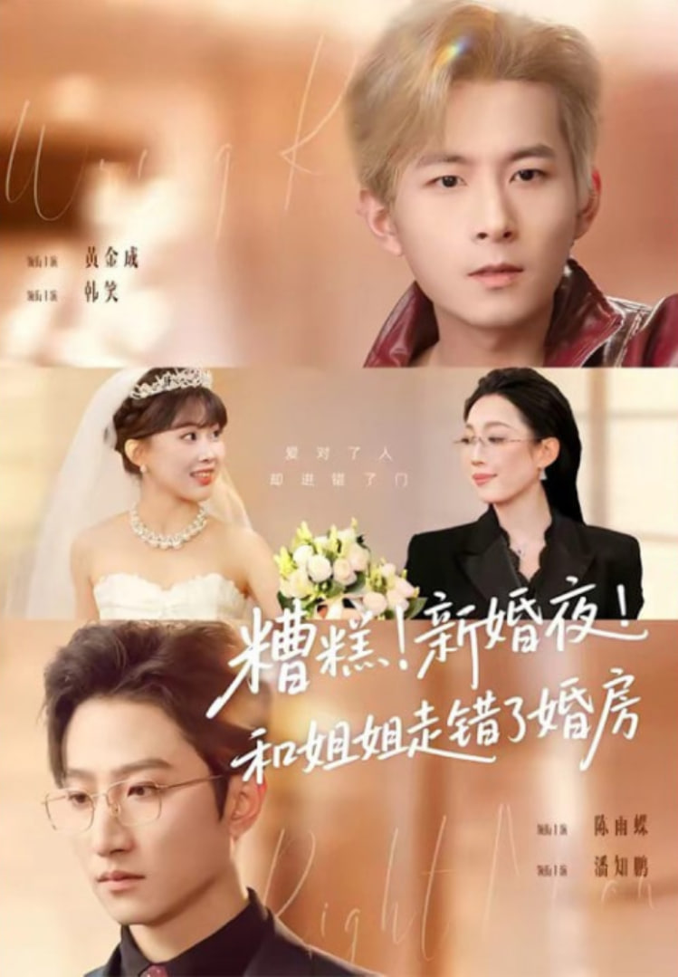 糟糕！新婚夜！和姐姐走错了婚房(糟糕新婚夜和姐姐走错了婚房)封面图