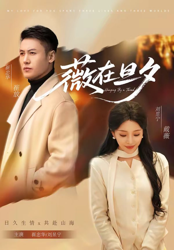 薇在旦夕封面图