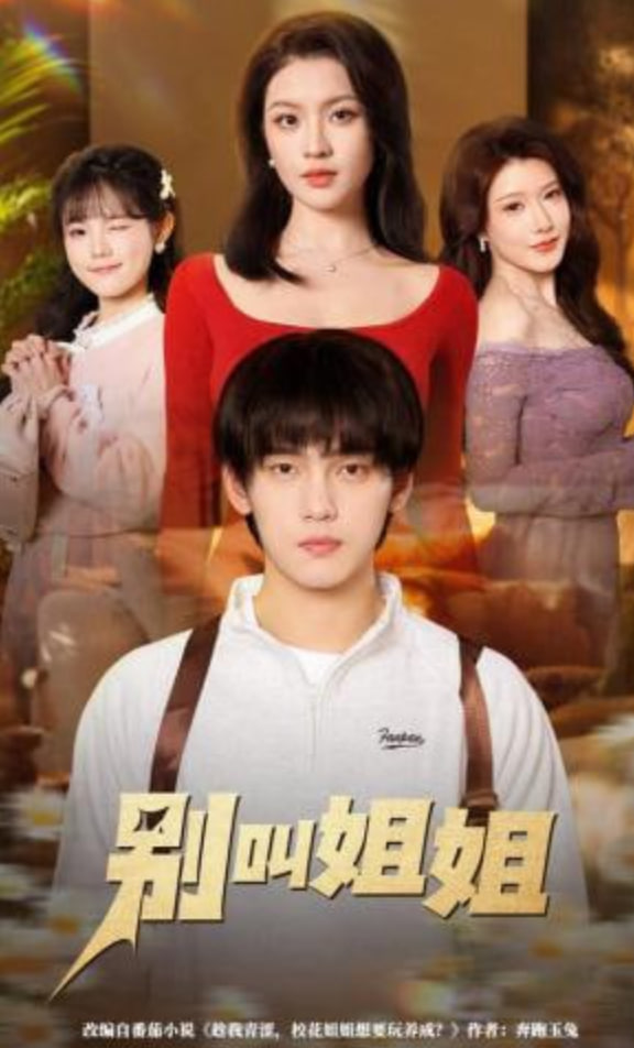 别叫姐姐封面图