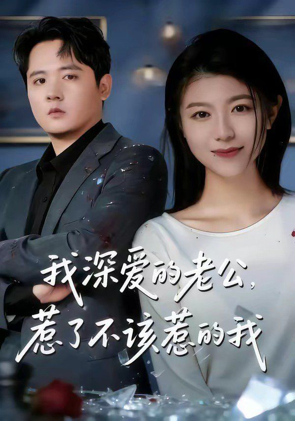 我深爱的老公，惹了不该惹的我封面图