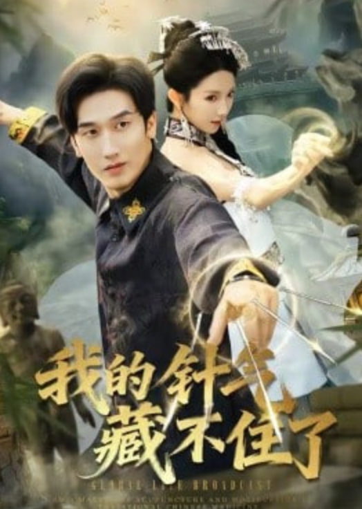 我的针气藏不住了封面图