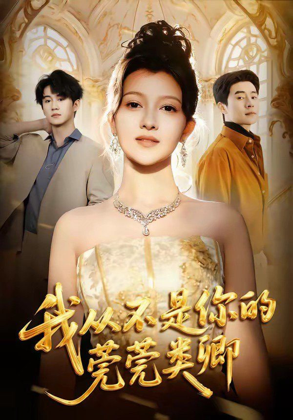 我从不是你的莞莞类卿封面图