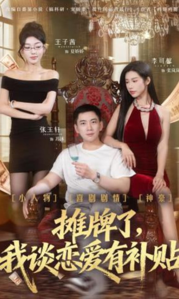 摊牌了，我谈恋爱有补贴封面图