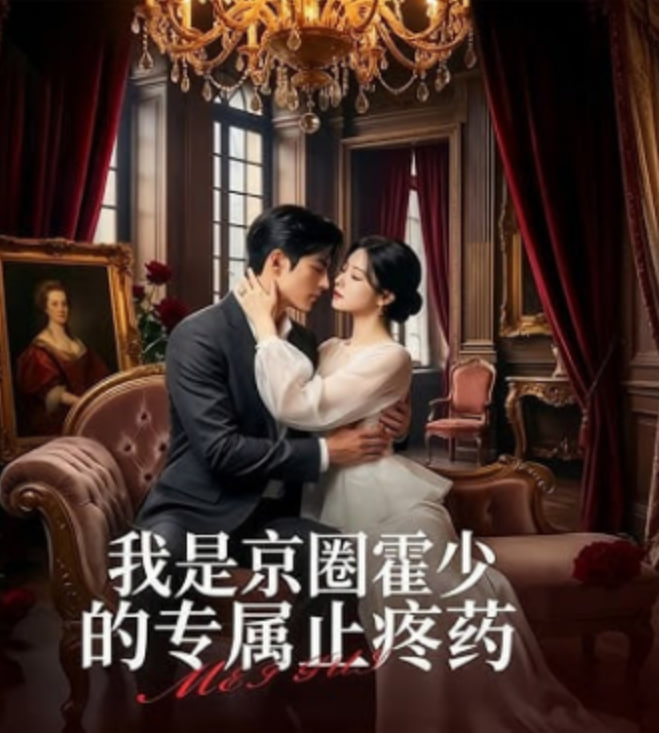 我是京圈霍少的专属止疼药封面图