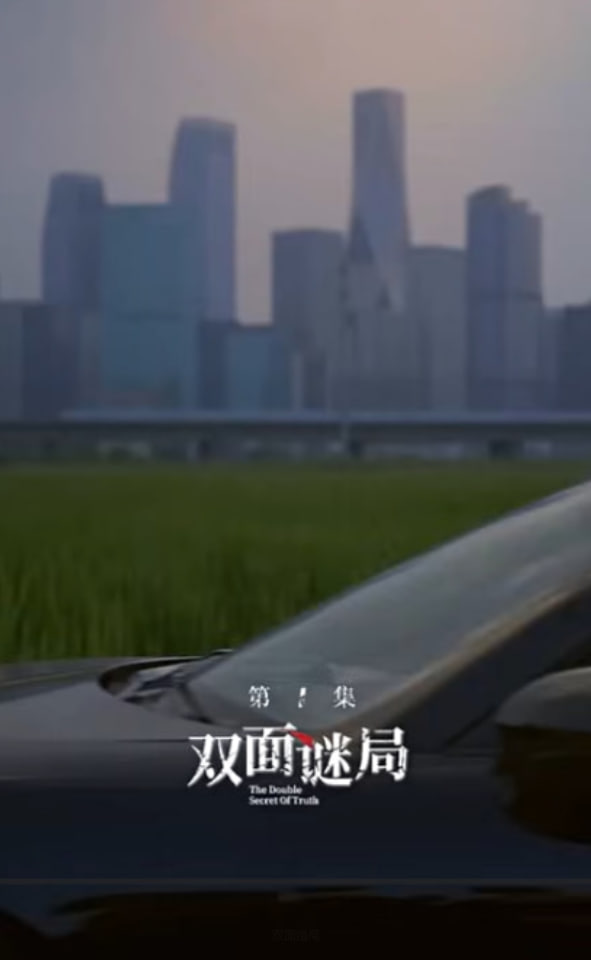 双面婚局封面图