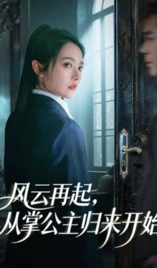风云再起，从掌公主归来开始封面图
